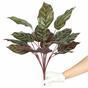 Kalatea mesterséges növény 50 cm