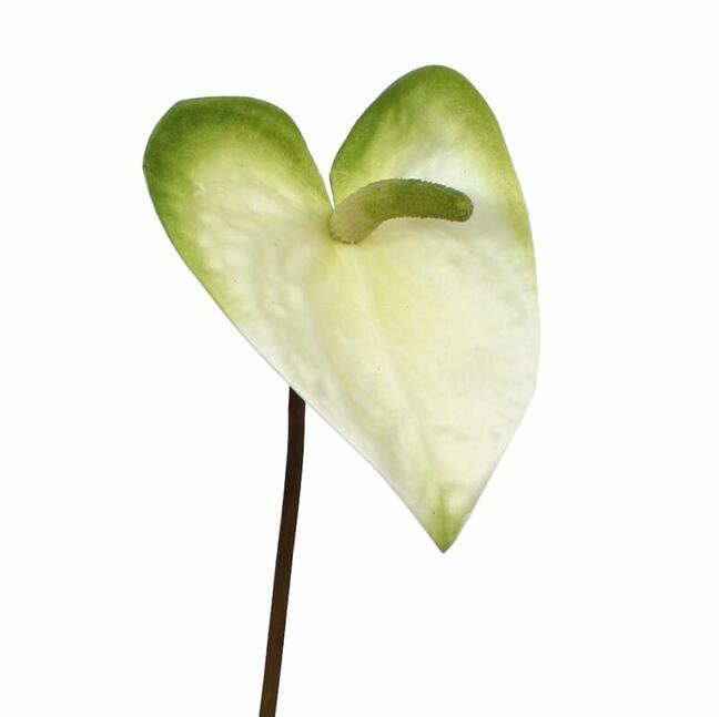 Mesterséges ág Anthurium fehér-zöld 55 cm