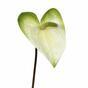 Mesterséges ág Anthurium fehér-zöld 55 cm
