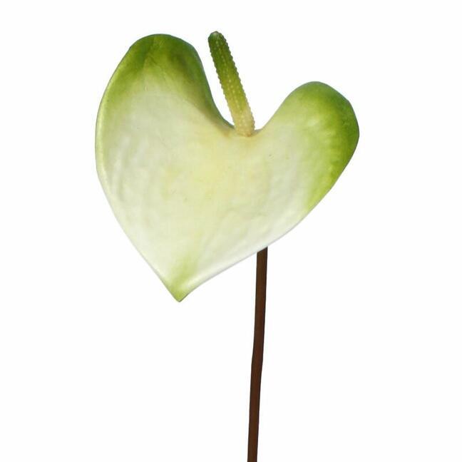 Mesterséges ág Anthurium zöld-fehér 50 cm