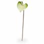 Mesterséges ág Anthurium zöld-fehér 50 cm