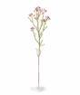 Mesterséges ág Chamelaucium uncinatum rózsaszín 65 cm