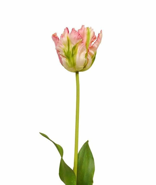 Mesterséges ág Tulipán zöld-rózsaszín 70 cm