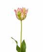 Mesterséges ág Tulipán zöld-rózsaszín 70 cm
