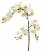 Mesterséges ága orchidea fehér 110 cm