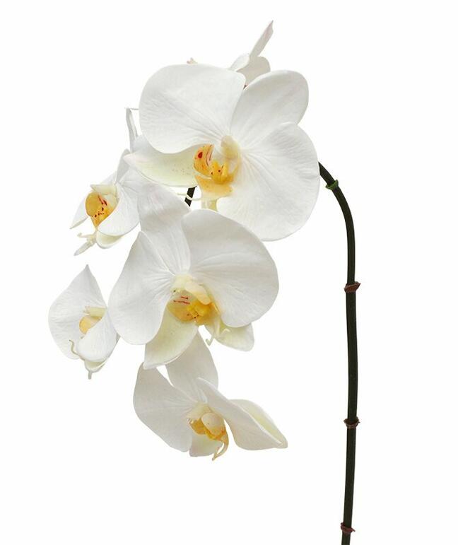Mesterséges ágú orchidea fehér 55 cm