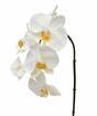 Mesterséges ágú orchidea fehér 55 cm