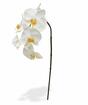 Mesterséges ágú orchidea fehér 55 cm