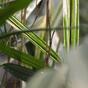 Mesterséges bambusz növény 70 cm