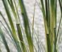 Mesterséges bambuszfű köteg virágcserépben 80 cm