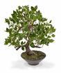 Mesterséges bonsai Fikus Wiandi 45 cm