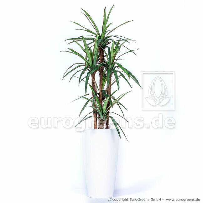 Mesterséges Dracena növény bélelt 140 cm