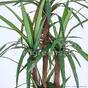 Mesterséges Dracena növény bélelt 140 cm