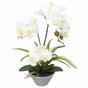 Mesterséges fehér orchidea páfránnyal 43 cm