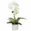 Mesterséges fehér orchidea, páfrány 37 cm