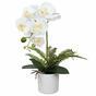 Mesterséges fehér orchidea, páfrány 37 cm
