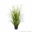 Mesterséges fűcsomó Közös nád virágcserépben 60 cm