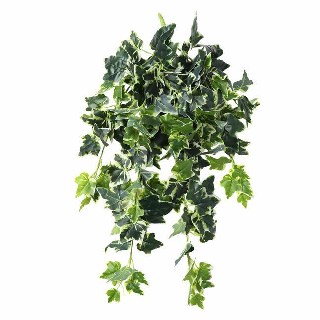 Mesterséges inda Ivy fehér-zöld 80 cm
