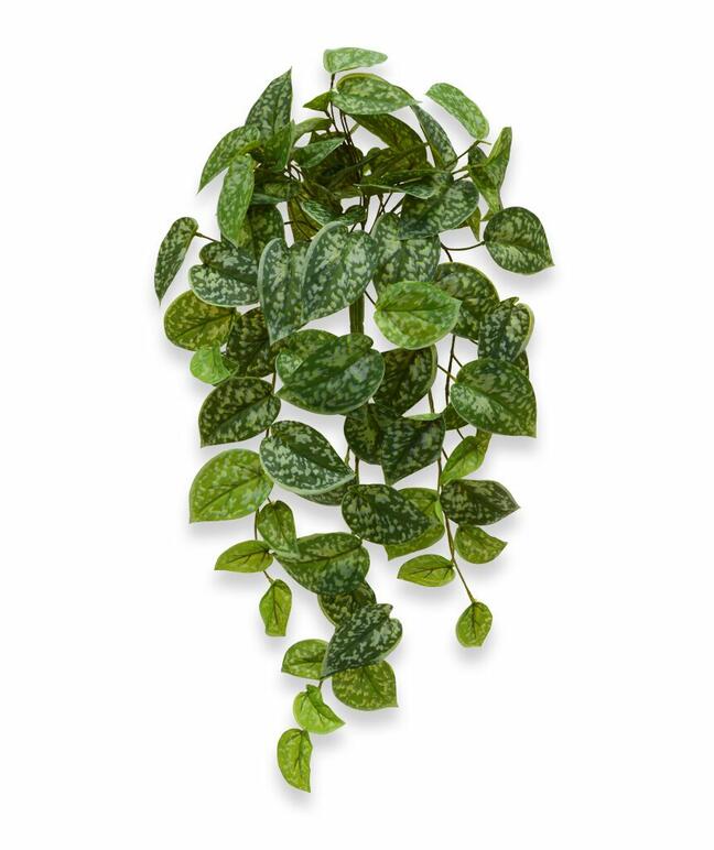 Mesterséges inda Potosovec 60 cm