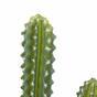 Mesterséges kaktusz 69 cm