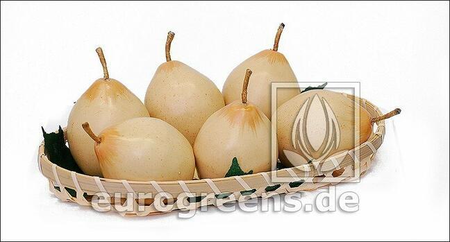 Mesterséges körte Nashi