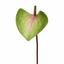 Mesterséges levél Anthurium rózsaszín-zöld 50 cm