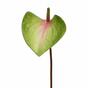 Mesterséges levél Anthurium rózsaszín-zöld 50 cm