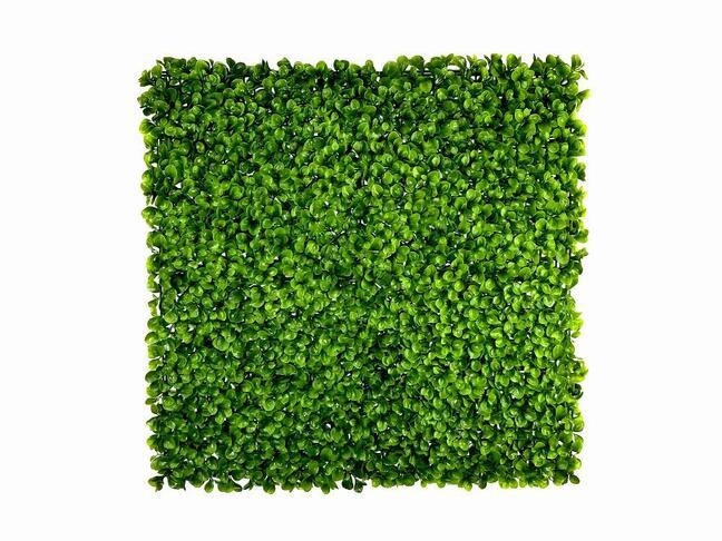 Mesterséges levélpanel Peperomia - 50x50 cm