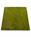 Mesterséges mohaszőnyeg 100 x 100 cm - zöld