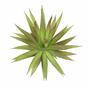 Mesterséges növény Agave bordó 20 cm