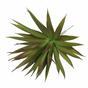 Mesterséges növény Agave bordó 20 cm