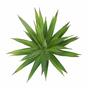 Mesterséges növény Agave zöld 20 cm