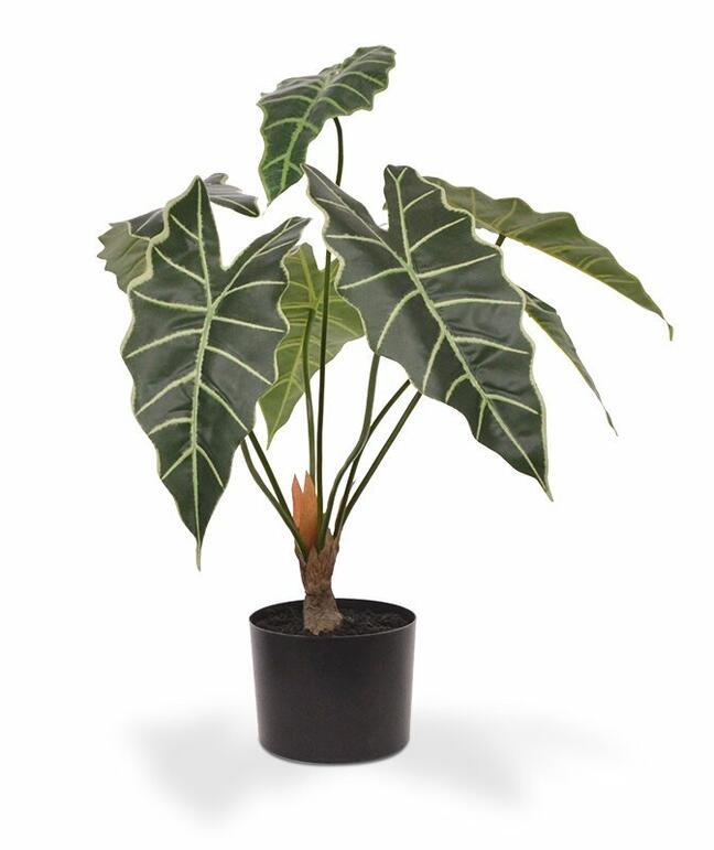 Mesterséges növény, Allocasia Amazonica 60 cm