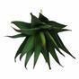 Mesterséges növény Aloe 13,5 cm