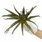 Mesterséges Aloe növény 27 cm