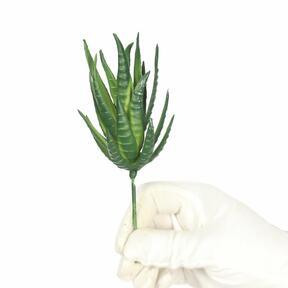 Mesterséges növény Aloe Vera 15 cm
