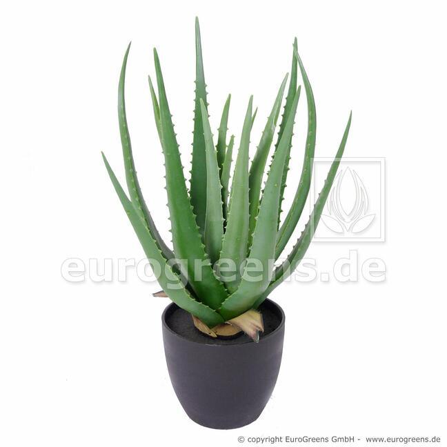Mesterséges növény Aloe Vera 45 cm
