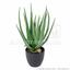 Mesterséges növény Aloe Vera 45 cm