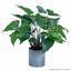 Mesterséges növény Anthurium 45 cm