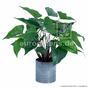 Mesterséges növény Anthurium 45 cm