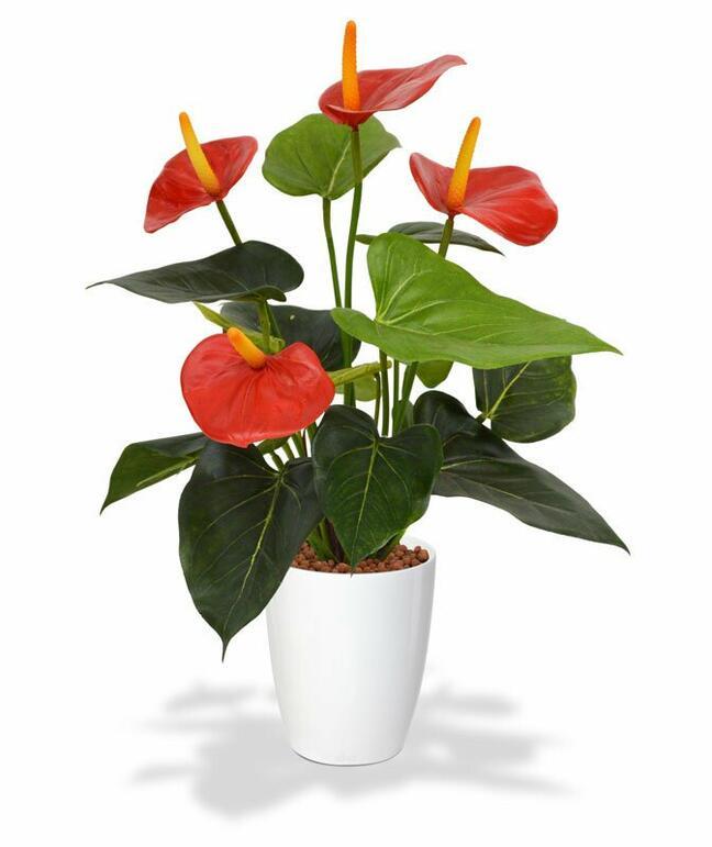 Mesterséges növény Anthurium piros 40 cm