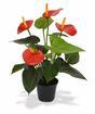 Mesterséges növény Anthurium piros 40 cm