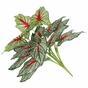 Mesterséges növény Calladium sokszínű 50 cm