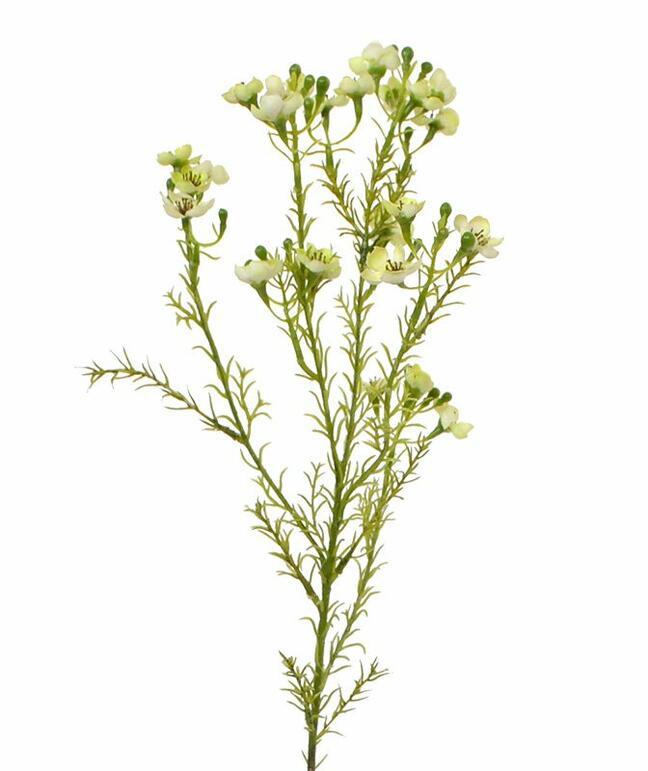 Mesterséges növény Chamelaucium uncinatum 65 cm