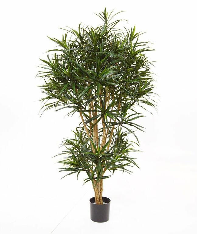 Mesterséges növény Dracena reflex 160 cm