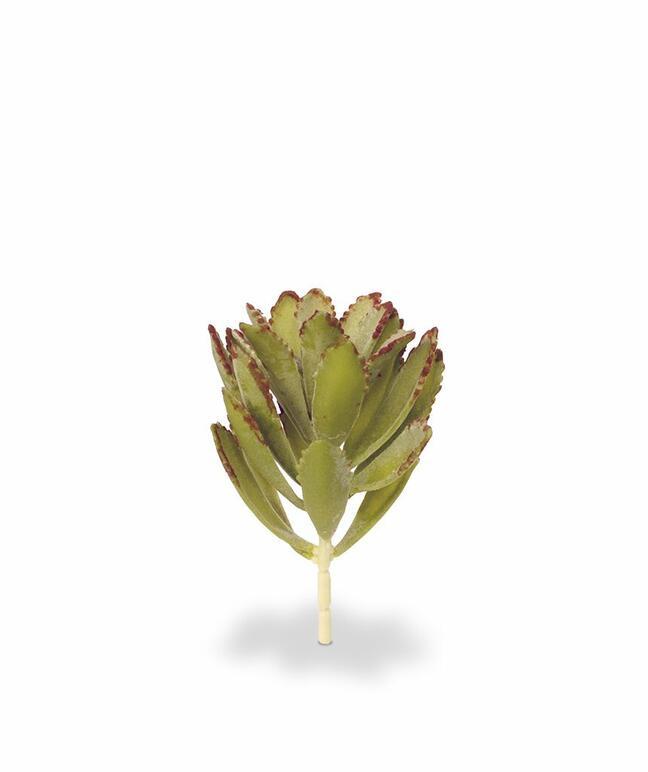 Mesterséges növény Eševéria 15 cm