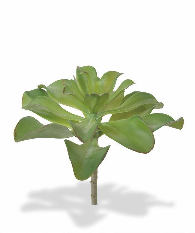 Mesterséges növény Eševéria 20 cm