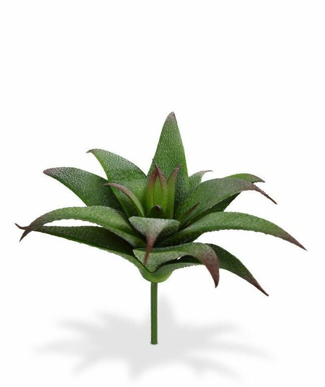 Mesterséges növény Haworthia 13 cm