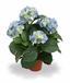 Mesterséges növény Hortenzia kék 45 cm