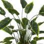 Mesterséges növény Hosta 50 cm
